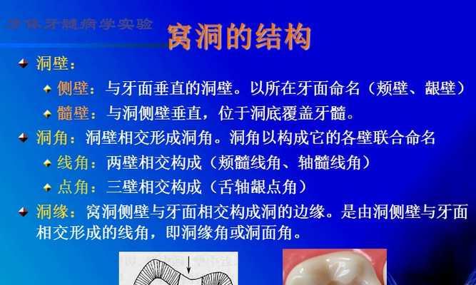 探秘无牙洞（一场奇妙之旅，只为寻找鱼与自由）
