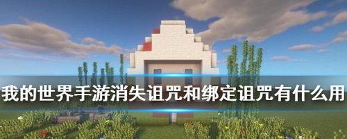 我的世界消失诅咒有什么用,死亡后物品消失的秘密