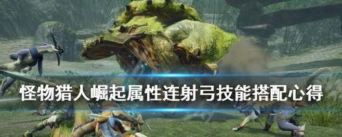 怪物猎人崛起攻略,狩猎技巧与装备搭配指南