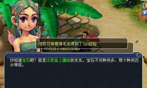 梦幻西游新手攻略,轻松掌握游戏技巧与策略