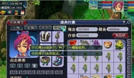 梦幻西游树苗攻略,从新手到大师的进阶之路