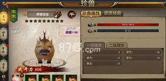 天龙八部手游宠物攻略